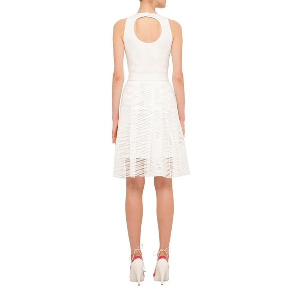 NWT $1290 Akris punto Mesh‎ Overlay Keyhole Back Sheath Dress Cream [SZ 6 ] - Picture 7 of 8